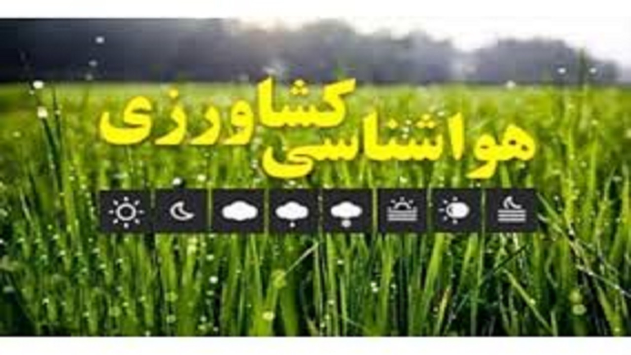 کشاورزان از آتش زدن باقی مانده مزارع گندم و جو اجتناب کنند