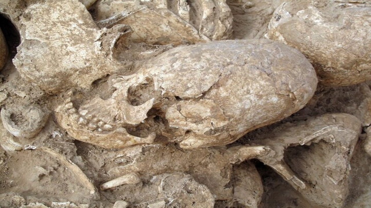 رازهای جمجمه دختری که ۶۲۰۰ سال قبل در جنوب ایران کشته شد