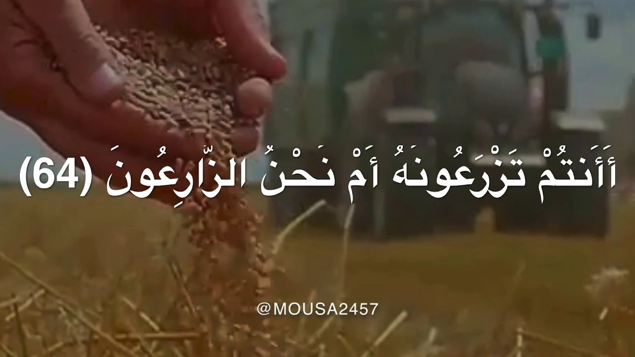 راز رزق در آینه دل؛ آنچه داریم، امانتیست از آسمان