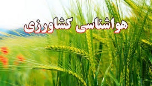 ضرورت آبیاری منظم باغات انار جهت کاهش ترک خوردگی محصول