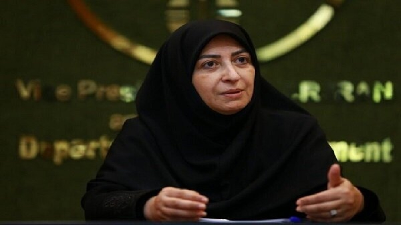 قدردانی رئیس سازمان حفاظت محیط زیست از محیطبانان هنگام تجاوز رژیم صهیونیستی به کشور