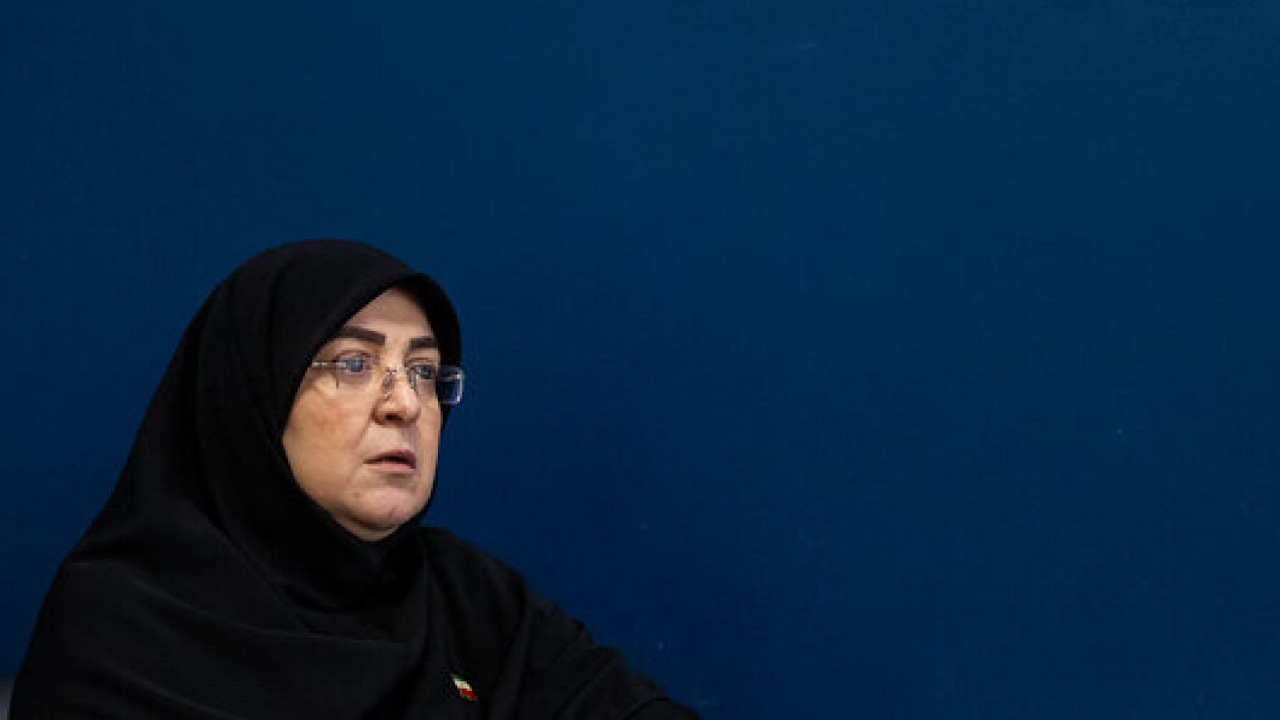 سخنگوی دولت: تحریف تاریخ نمی‌تواند از شکوه ملت ایران بکاهد