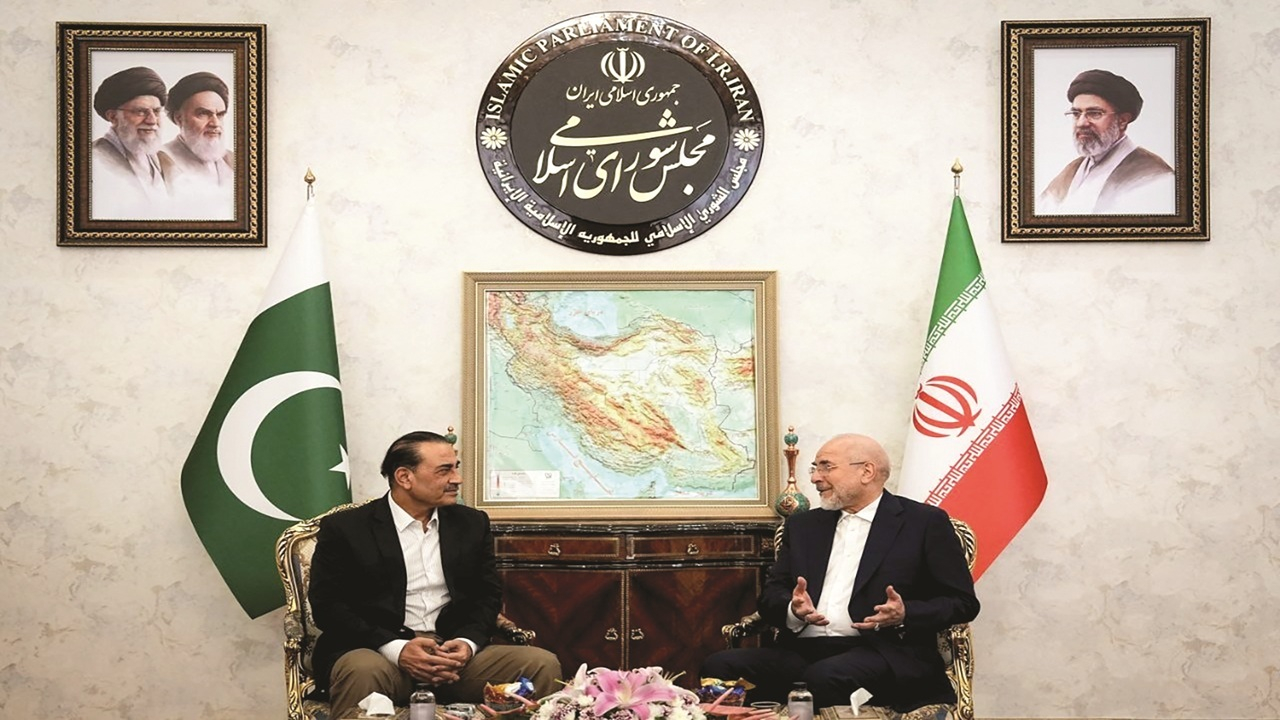 عاصم جواب را میدانست