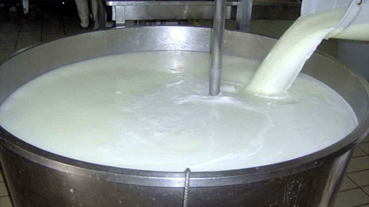 سالانه ۱.۵ میلیون تن شیرخام صادر می‌شود