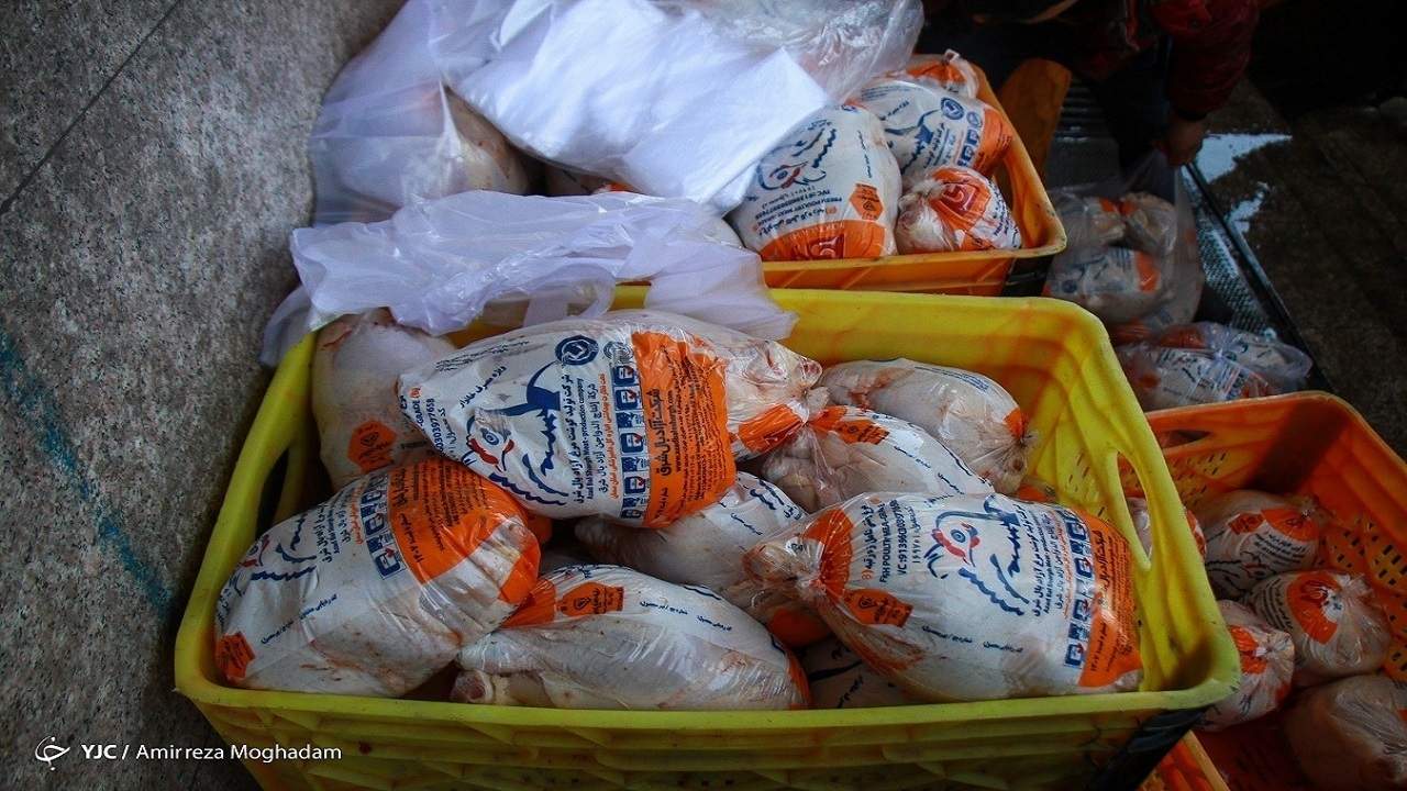 صادرات مرغ به ۸ هزار تن رسید