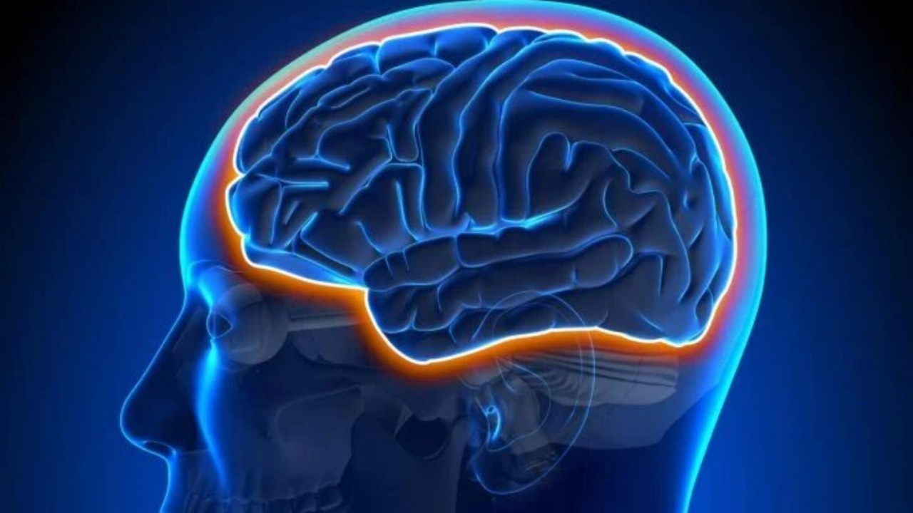 ورزش چگونه از مغز در برابر آلزایمر محافظت میکند