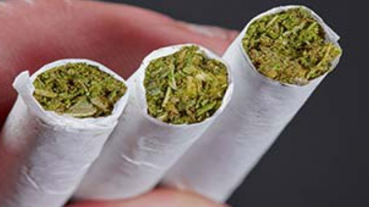 خطر جدی سادهانگاری «گُل» تله مافیای مواد مخدر