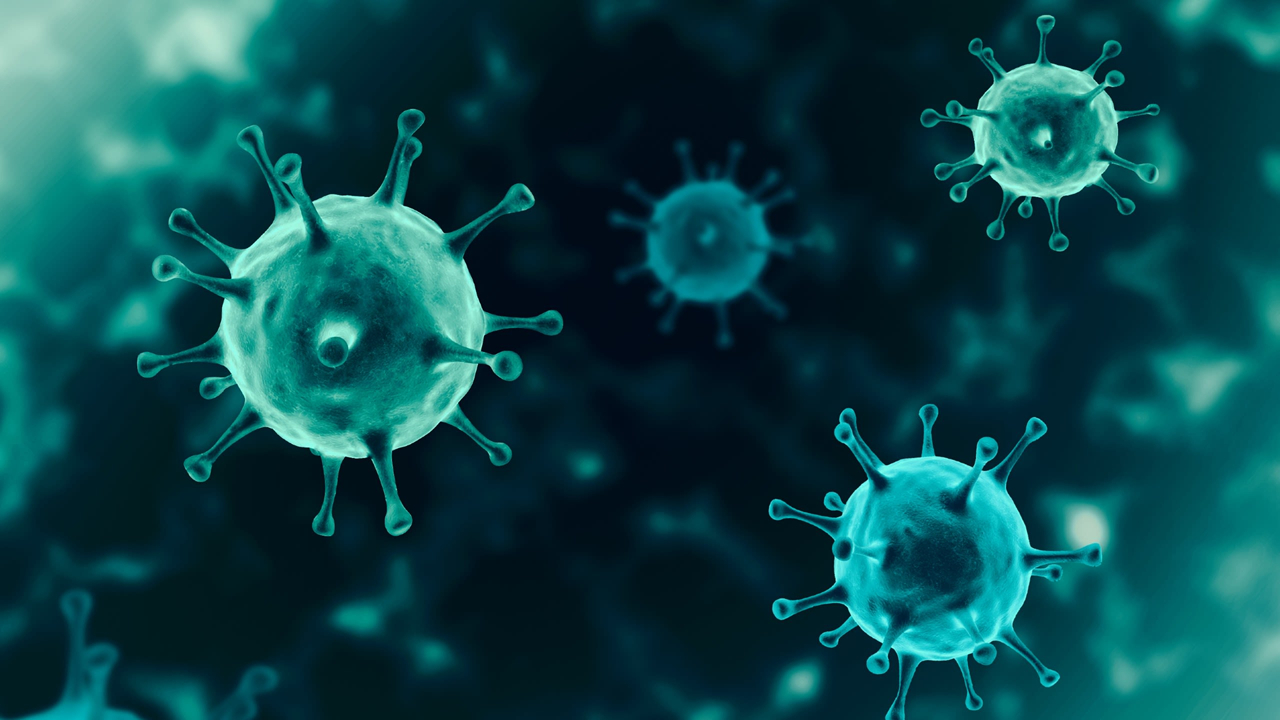 ویروس‌ها چه مدت روی سطوح زنده می‌مانند؟