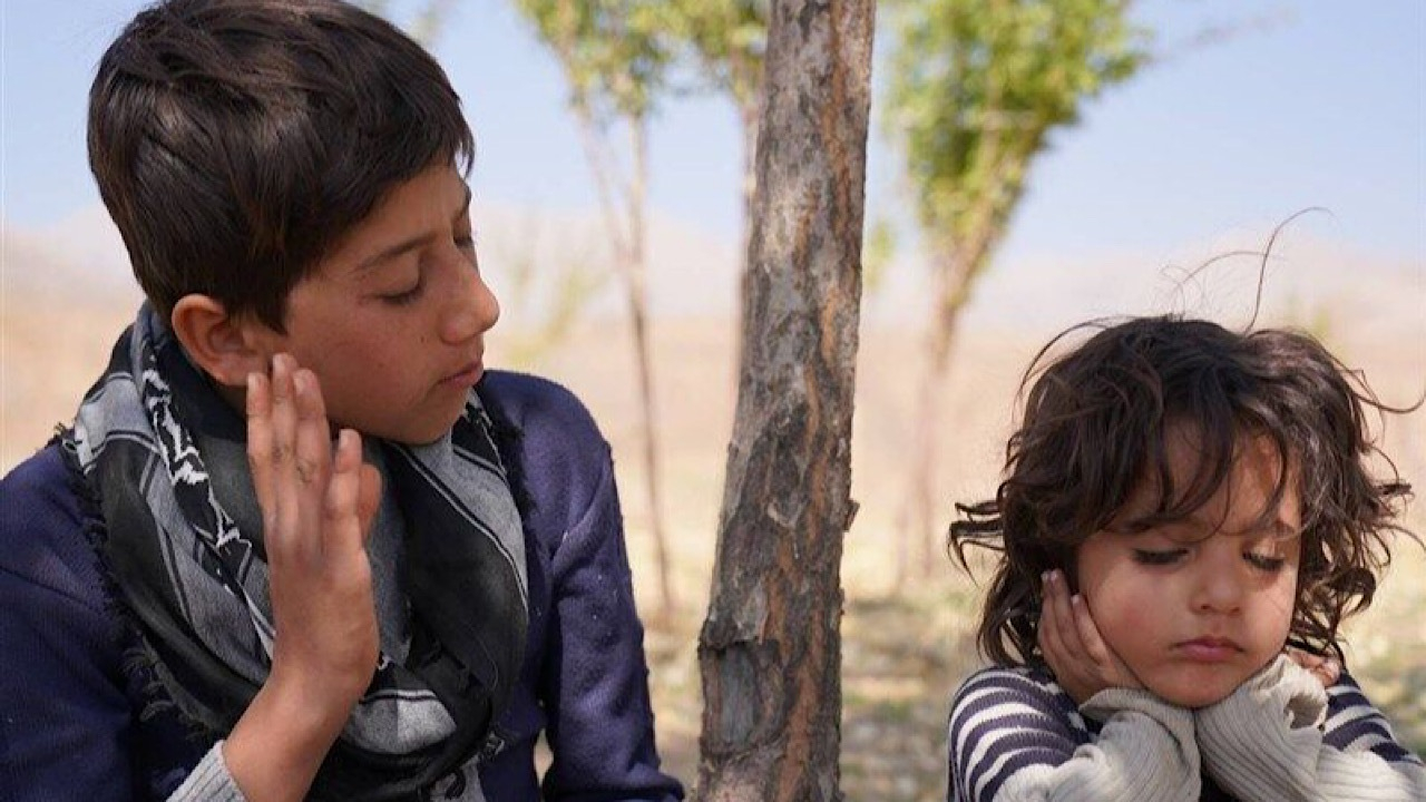 «موی گرگ» پروانه نمایش گرفت/ موافقت با اکران یک فیلم دیگر