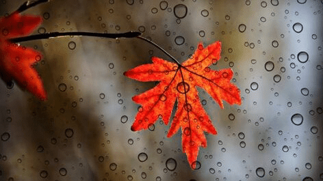 کاهش ۱۰ درجه‌ای دمای گلستان در راه است
