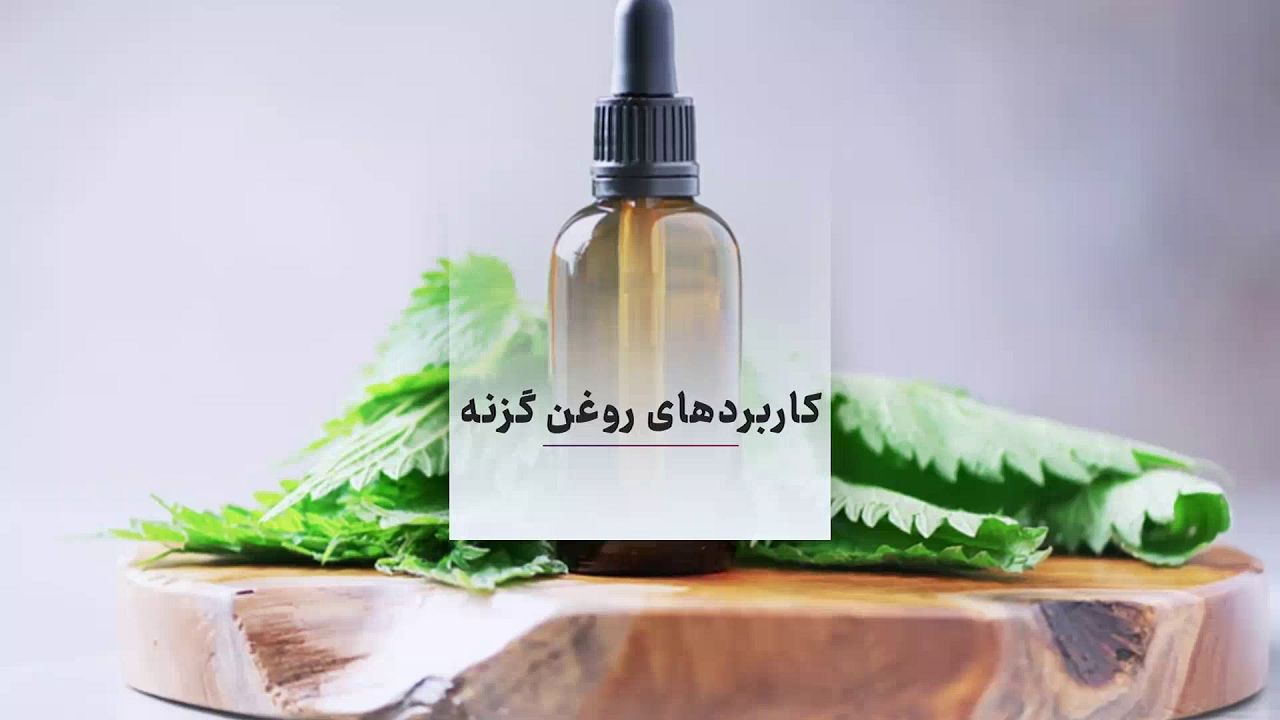 خواص روغن و عرق گزنه + فیلم