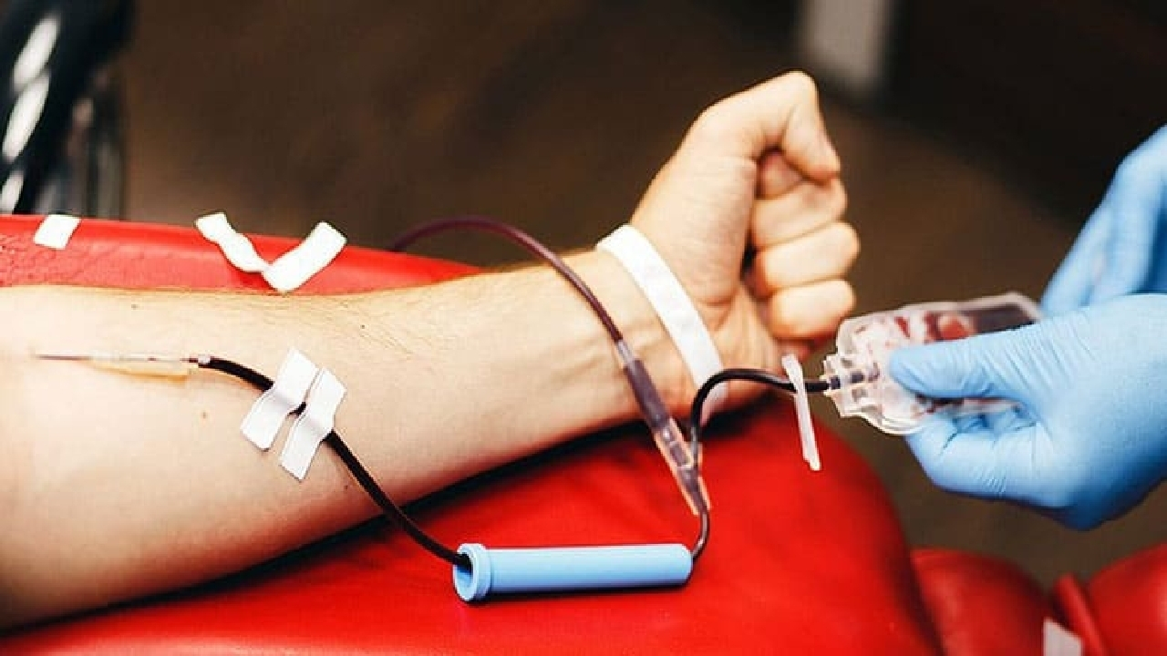 معافیت یک‌ساله اهدای خون برای افراد حجامت کرده/ حجامت باید توسط متخصص طب سنتی تجویز شود