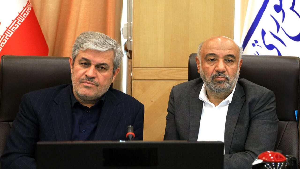 وزیر کار: درآمد حاصل از حذف یارانه ثروتمندان، بین دهکهای پایین توزیع میشود