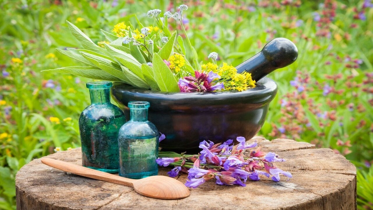  طب ایرانی؛ الگوی جهانی برای پزشکی آینده‌محور