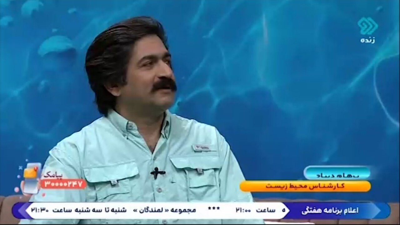 اهمیت مرجانها در حفظ محیط زیست + فیلم