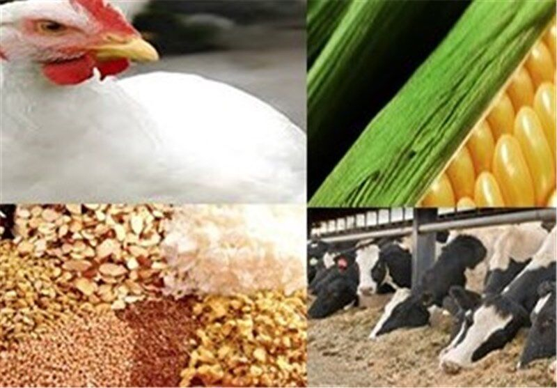 اوراق سپرده کالا راهکار رفع گلوگاه نقدینگی تولید