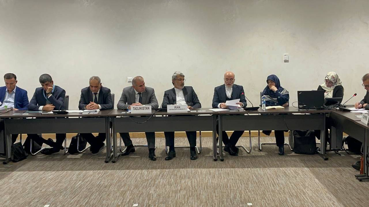 سیاسیکاری، شورای حقوق بشر سازمان ملل را بیاعتبار میکند