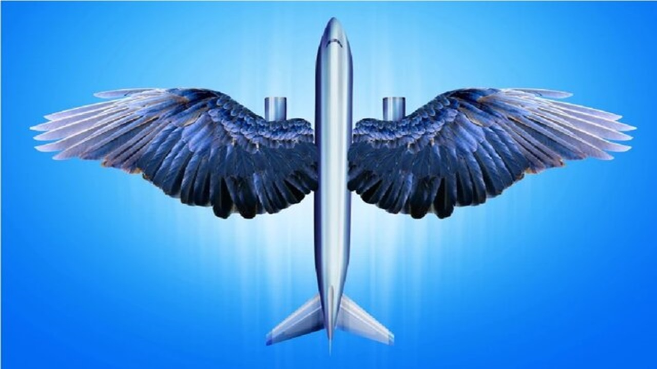 باغ‌وحش رباتیک؛ از «عروس دریایی جاسوس» تا «مگس‌های آب‌نشین»