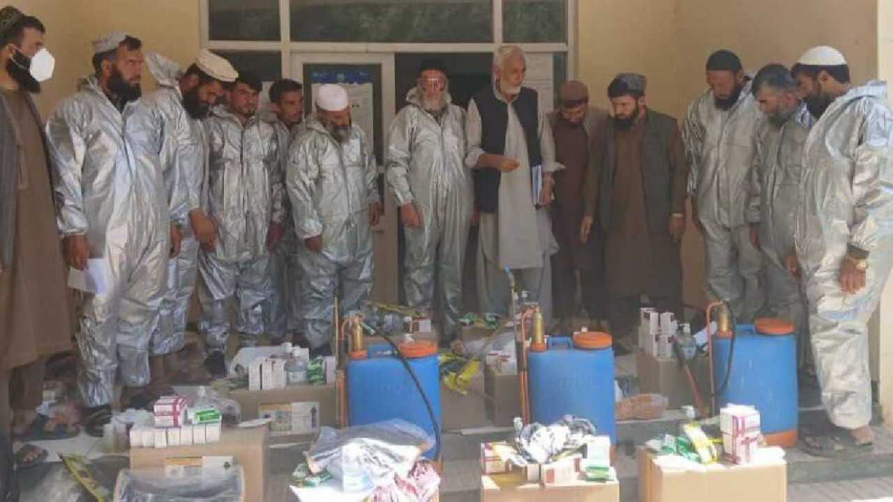آغاز کمپین مبارزه با تب کنگو در افغانستان