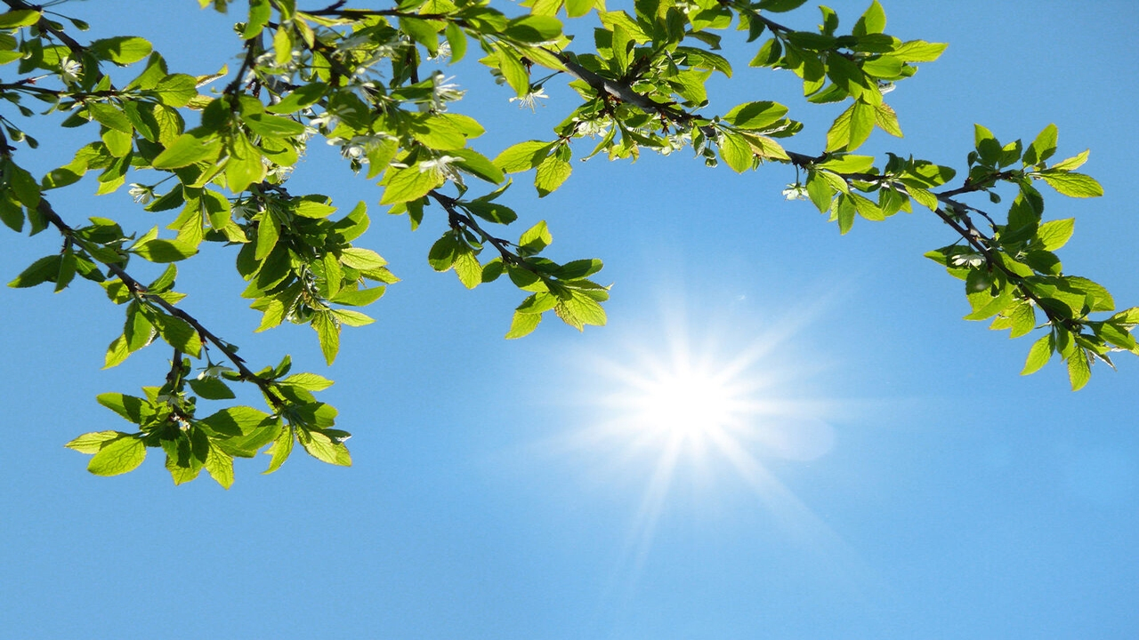 جوی آرام در اغلب مناطق کشور