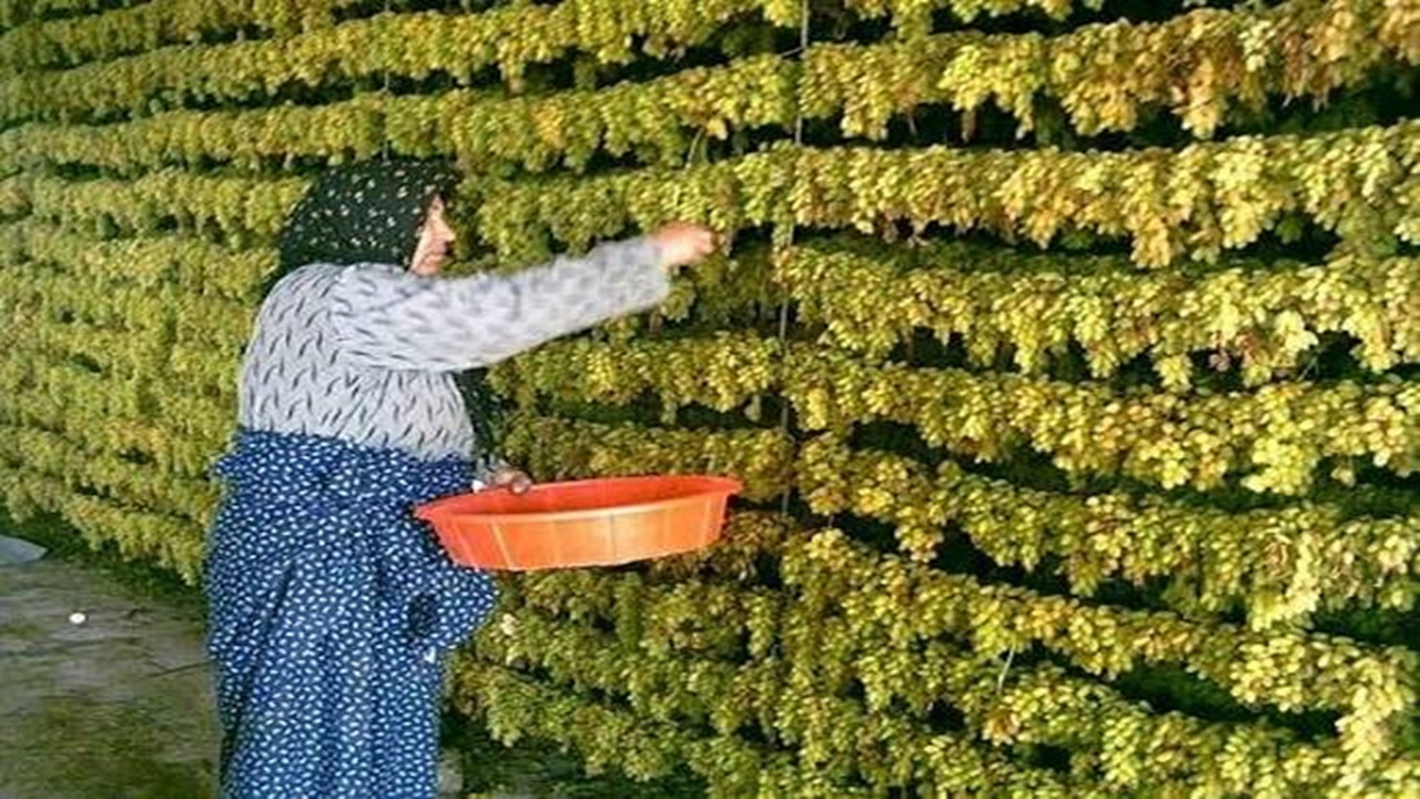 خنداب، نگین سبز استان مرکزی + فیلم