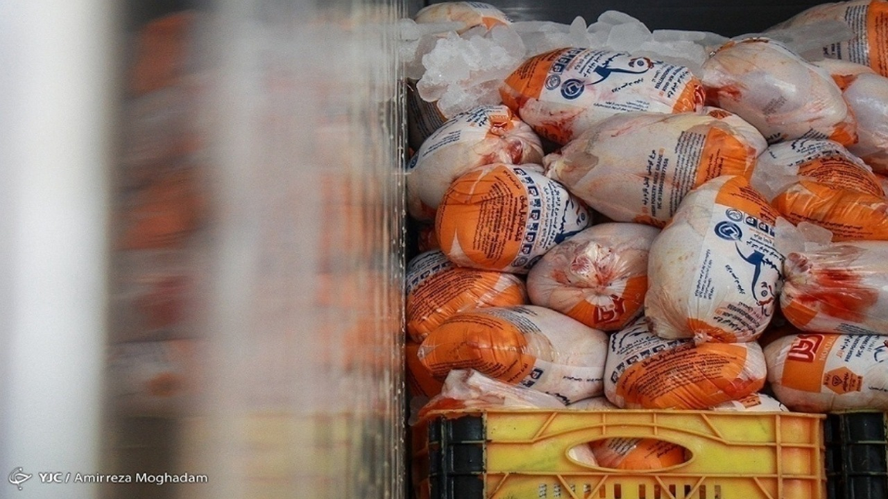 صادرات ماهانه ۱۵ تا ۲۰ هزار تن مرغ به بازار‌های هدف