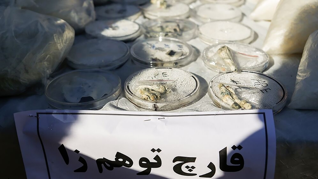 فروش روانگردان «مجیک ماشروم» در اینستاگرام و کشف ماینرهای غیرمجاز در تهران