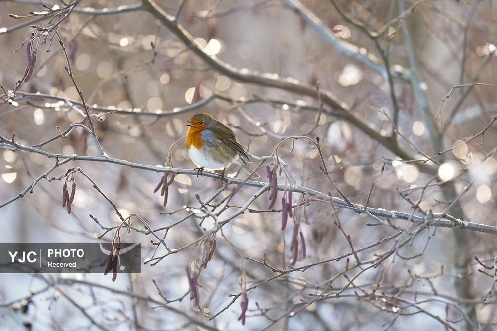 عکسهای منتخب خبری جهان / ۴ آذر ۱۴۰۴