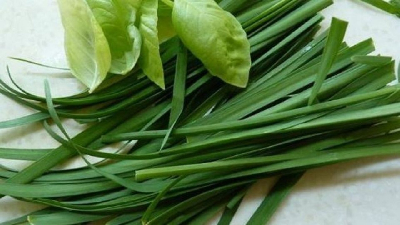 تره، قند بالایی ندارد و برای دیابتیها ممنوع نیست