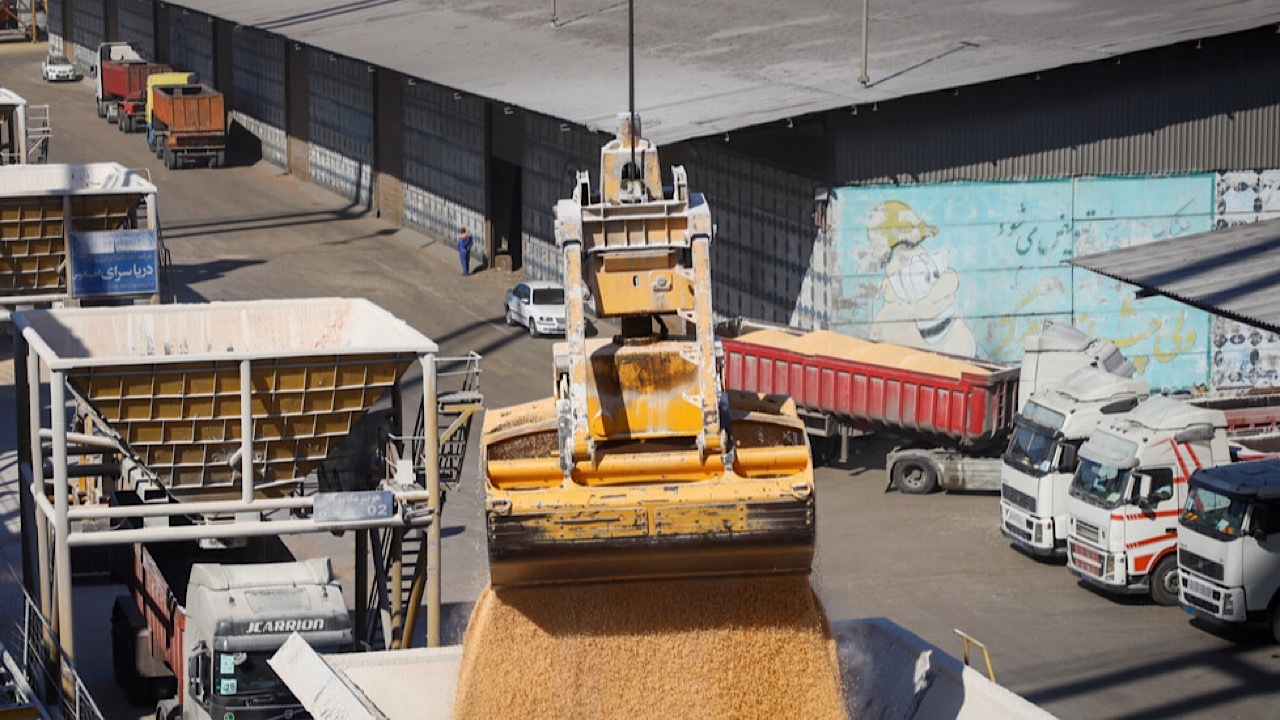 ذخایر فعلی نهادههای دامی بالاتر از نیاز ماهانه کشور است