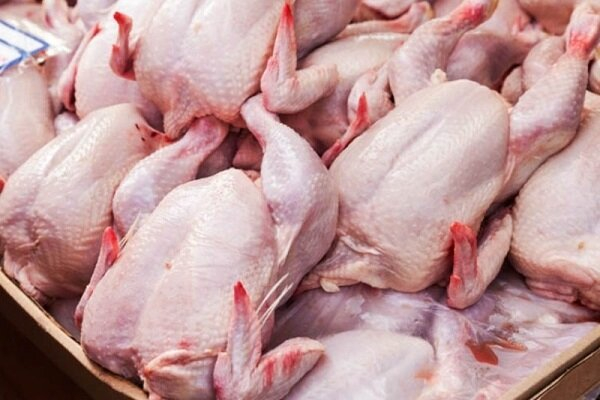 بیش از۱۲۰۰ تن مرغ گرم از نیمه دوم بهمن وارد بازار خرم‌آباد می‌شود