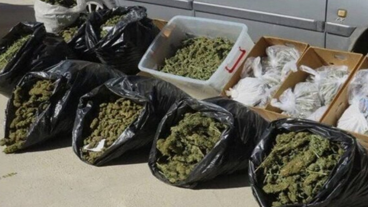 بزرگترین محموله ماریجوانا سال در شهرستان ری کشف شد