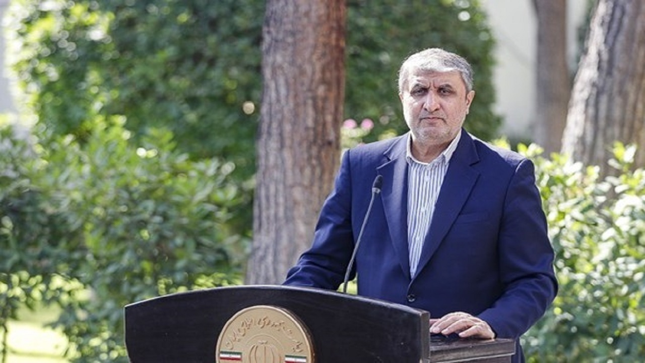 اسلامی: مشارکت با بخش خصوصی را در سازمان انرژی اتمی کلید زدیم