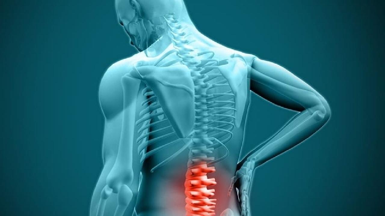 مشاغلی که بیشتر در معرض دیسک کمر قرار میگیرند + فیلم