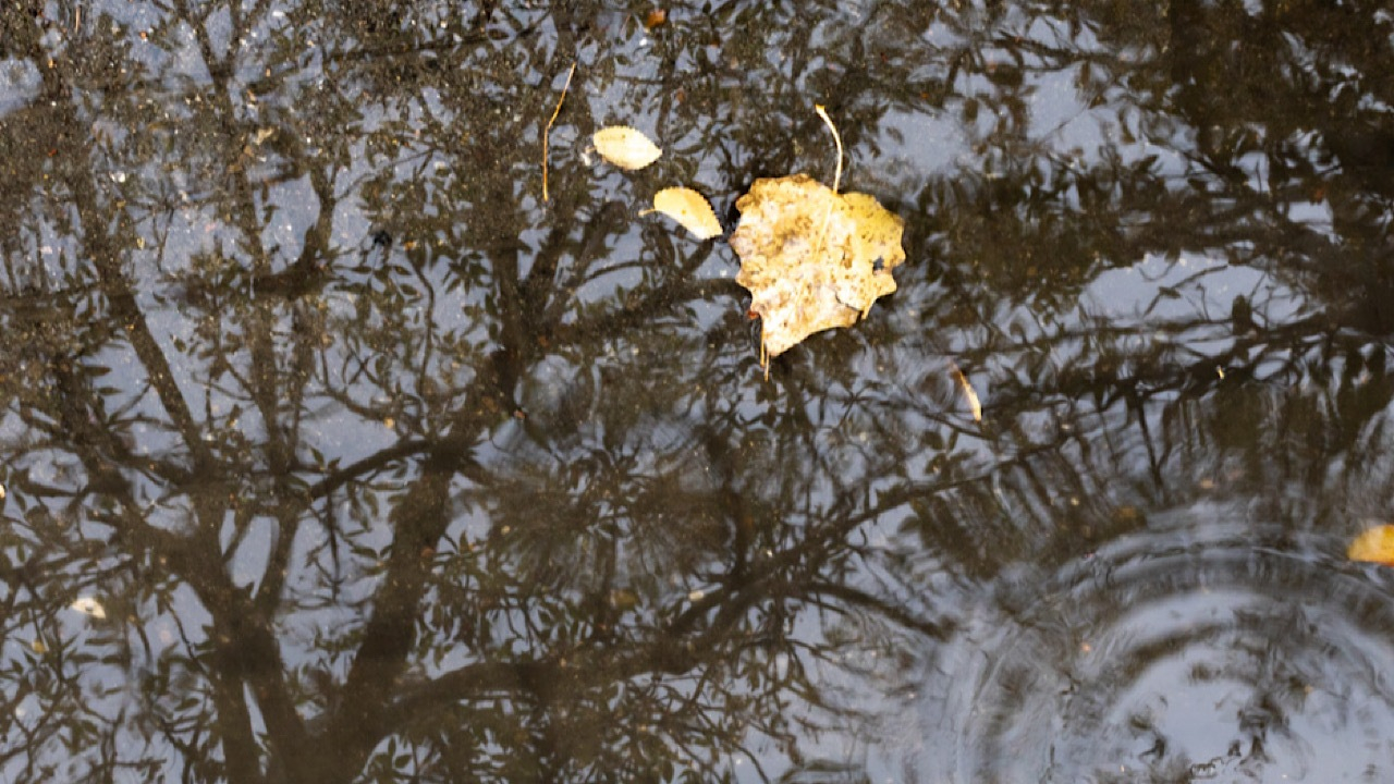 کسری ۴۰ میلیمتری بارندگی/ بارشهای پیشِرو جبرانکننده نیستند