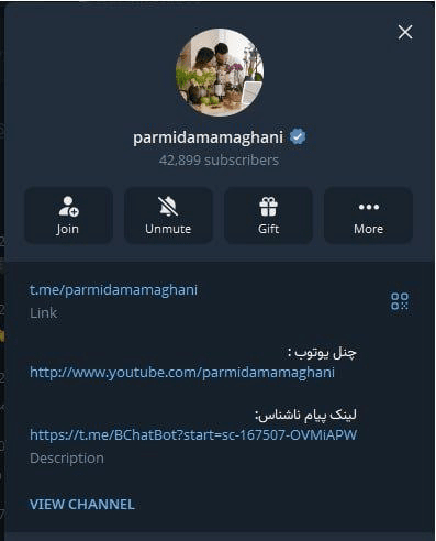 هست و نیست یک ضد انقلاب_ این قسمت: پارمیدا