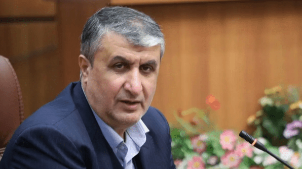 جزئیات نشست چهار ساعته کمیسیون امنیت ملی با رئیس سازمان انرژی اتمی