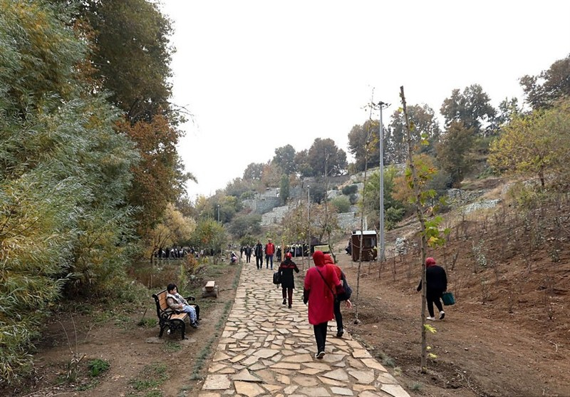 تأکید بربهرهبرداری شهرداری ازظرفیت روددره فرحزاد در تابستان