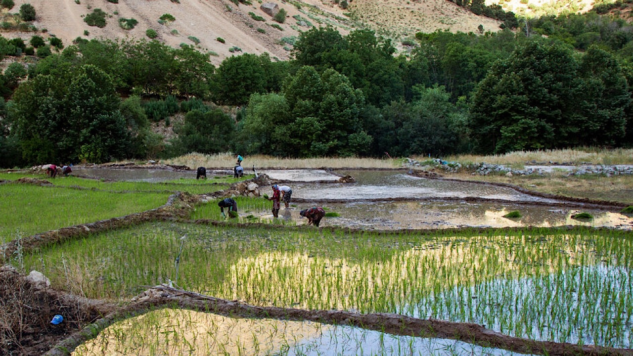تخصیص ۶ هزار میلیارد تومان به طرح ملی آبخیز تا جالیز در سالجاری
