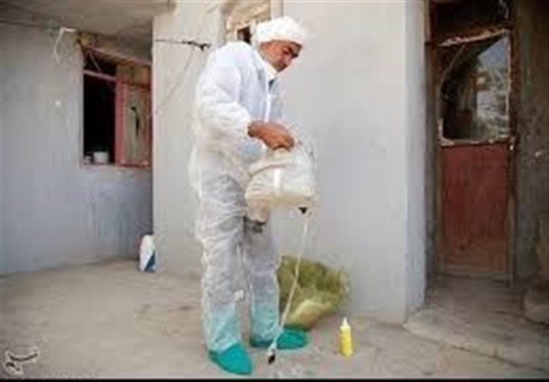 واکسیناسیون گسترده طیور بومی در مازندران