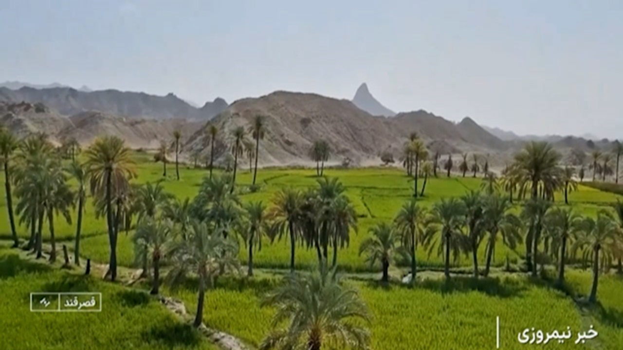 قصرقند نگین سرسبز مکران + فیلم