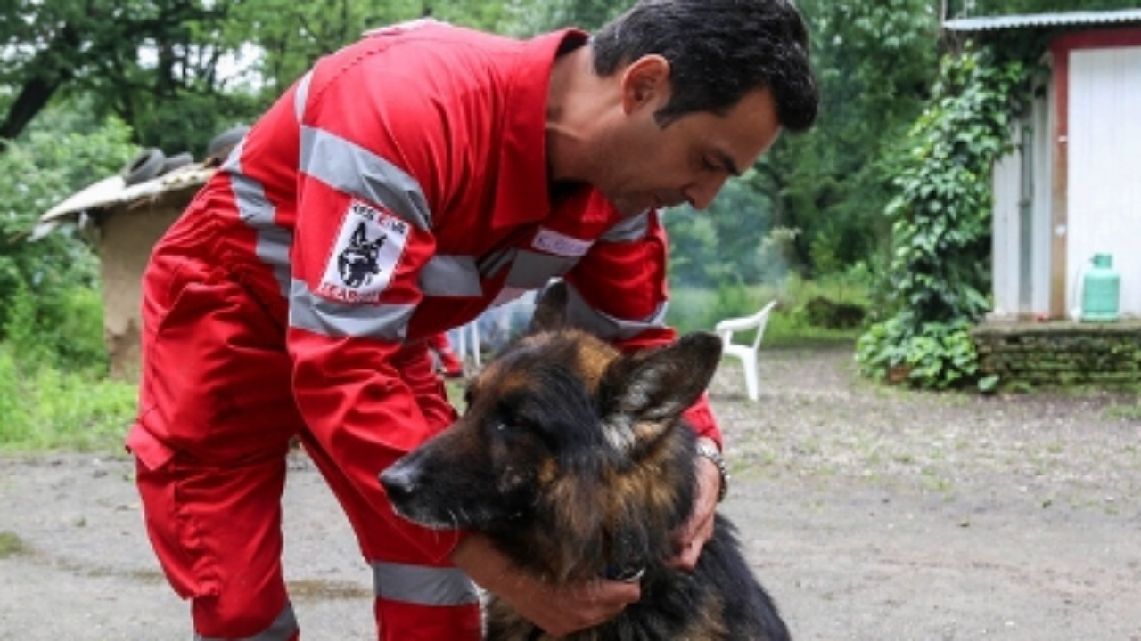 تجهیز سگهای زندهیاب هلالاحمر به سامانههای هوشمند رصد و پایش عملیاتی