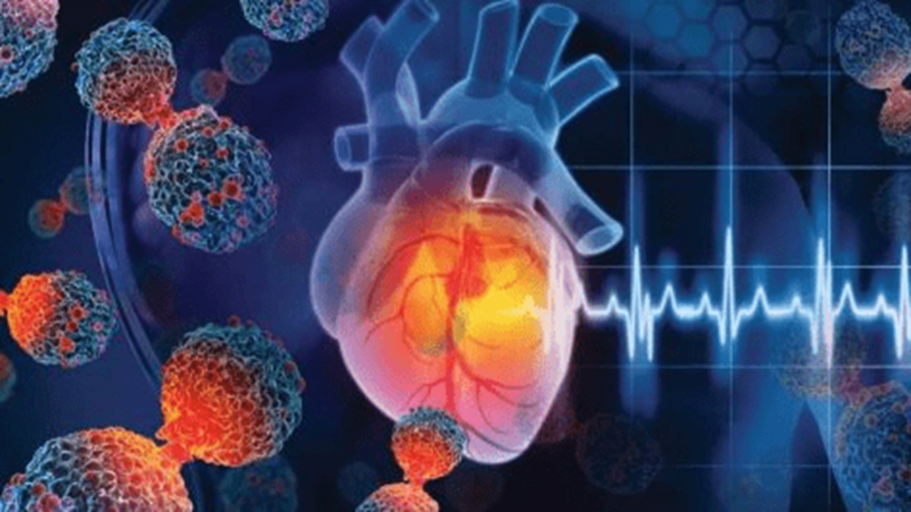 ایران پیشگام کاردیوانکولوژی در خاورمیانه/ درمان سرطان بدون آسیب به قلب