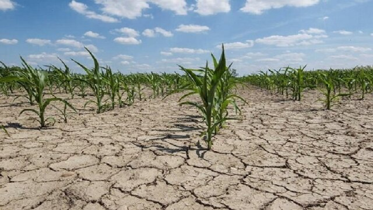 ۷ پیشنهاد برای عبور از خشکسالی