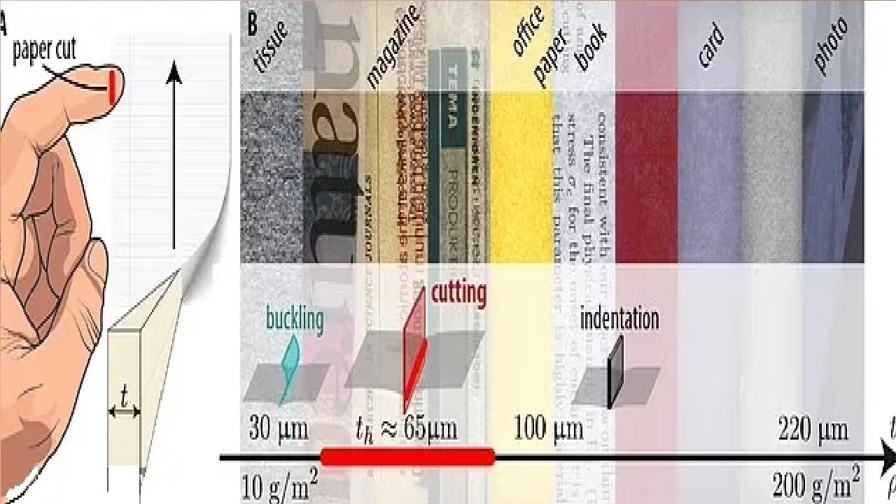 کدام نوع کاغذ دردناکترین بریدگی را ایجاد می‌کند؟