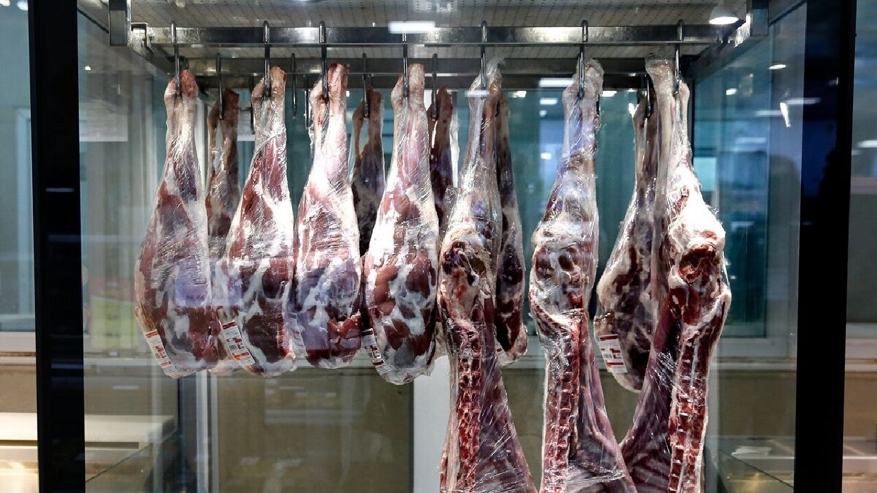 هیچ مجوزی برای کشتار و عرضه گوشت تک‌سمیان صادر نشده است