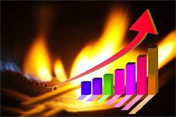 وابستگی ۷۴ درصدی به گاز زنگ خطری برای امنیت انرژی کشور است