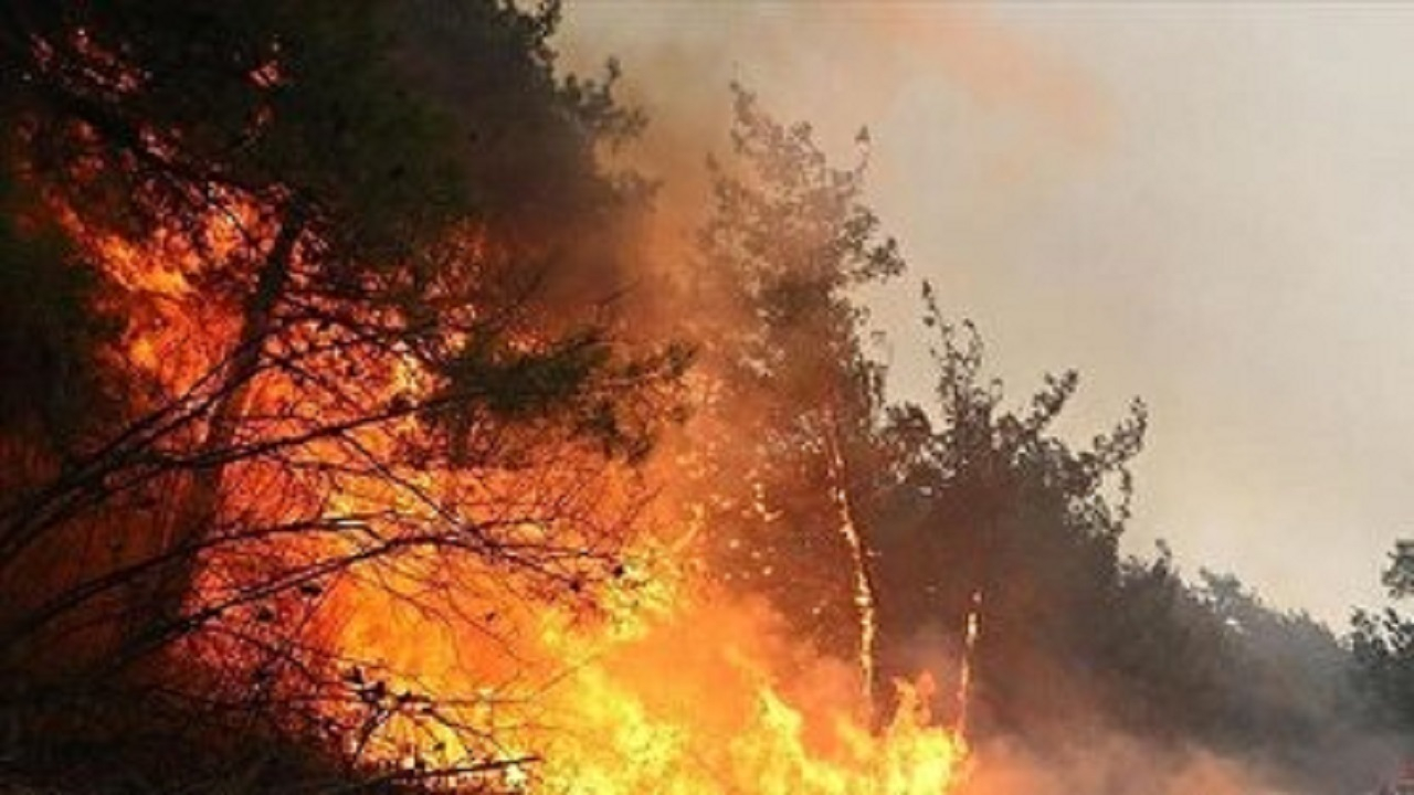 گردشگران در جنگلهای هیرکانی و ارسباران از روشن کردن آتش خودداری کنند/نیروها در حال لکه گیری الیت هستند