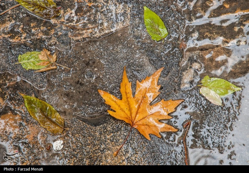 سرمای هوا در راه همدان/ تشدید بارش‌ها از امشب