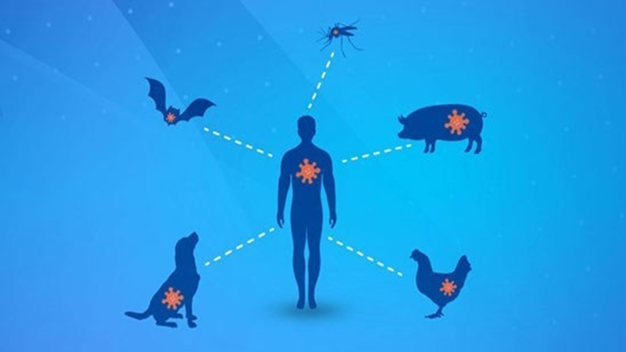 سهچهارم عفونتهای نوظهور انسانی ریشه حیوانی دارند
